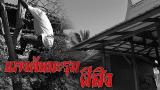 หมอปลาพายัดห่า EP:27 แกงต้นมะรุมผีสิง