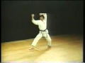 2 kata heian nidan shotokan karate hirokazu kanazawa