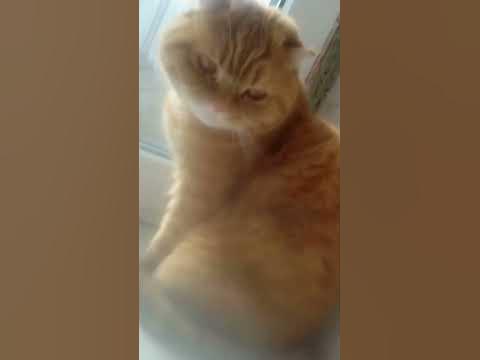 малышь😎😎😎 - YouTube