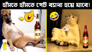 বন্য পশুদের চরম হাস্যকর মুহূর্ত | Youtube funny animal videos | Odvut Knowledge