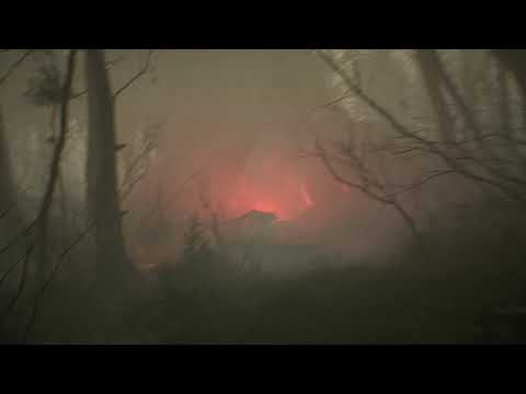 Video till Klappa hundar i ny Humble Bundle