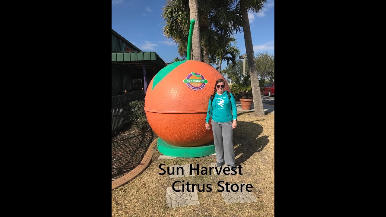 Sun Harvest Citrus Store Fort Myers Florida Store Walk Thru