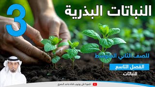 النباتات البذرية 3