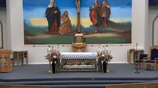 Daily Mass July 16, 2026