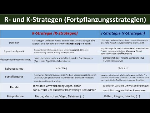 Fortpflanzungsstrategien - R-Strategen und K-Strategen im Vergleich