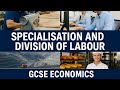 Specialisation and Division of Labour | GCSE Economics Explained with Real World Examples
