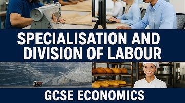 Specialisatie en arbeidsverdeling | GCSE Economie uitgelegd met voorbeelden uit de praktijk