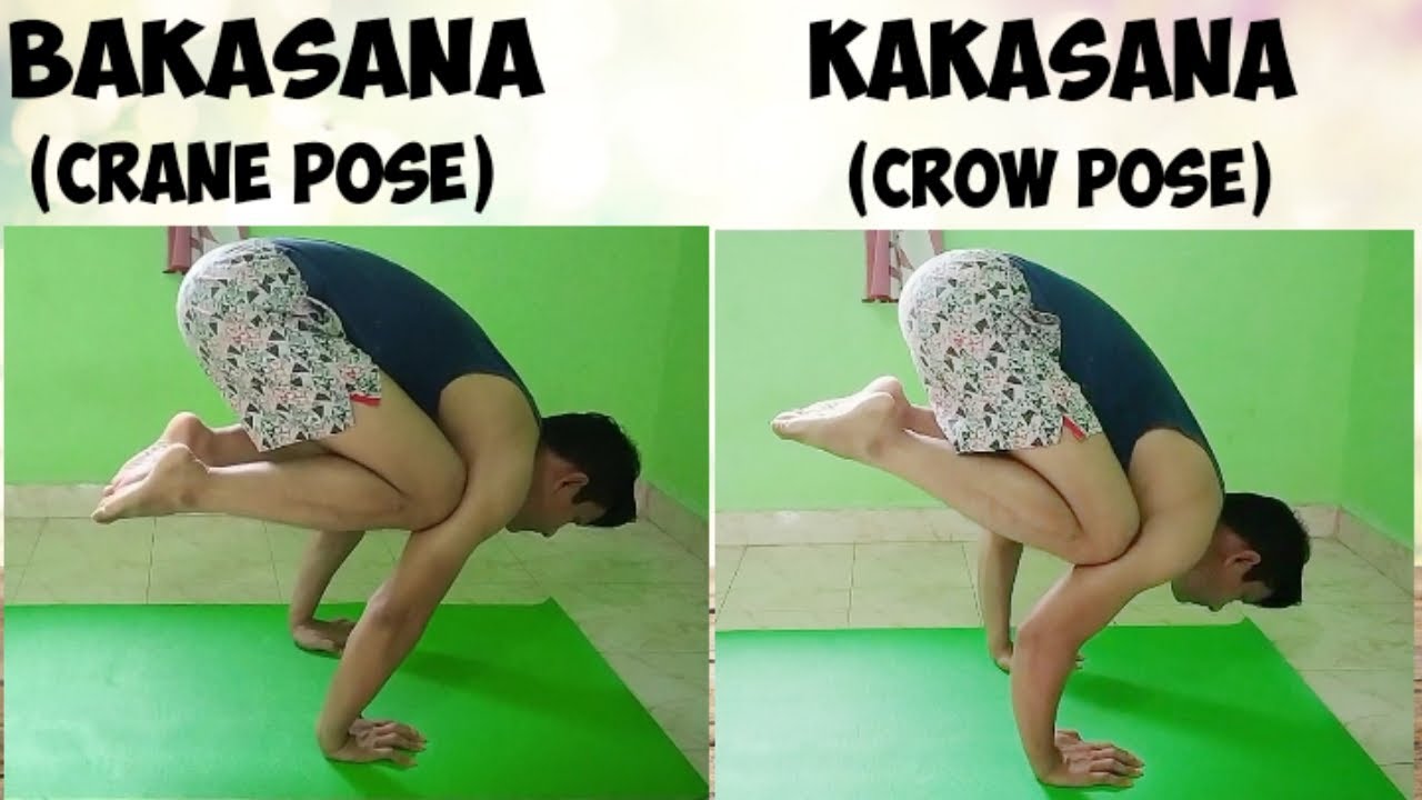 Yoga Poses Inspired from Nature and Animals – Change Started