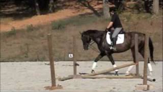 Wind Dancer And Mickensey Johnson