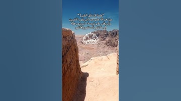 نعمة فهم الاحرين !! ..تدبر القران الكريم #تدبر #تلاوة #قرآن #القرآن_الكريم #تدبر_آية