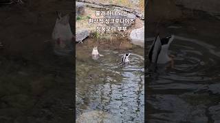 남산둘레길 영상