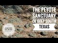 Cactus Conservation in South Texas