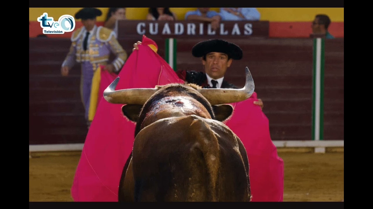 Galería fotografía Feria taurina Villacarrillo 2025