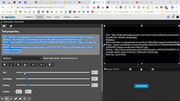 6 - End credits in WeVideo