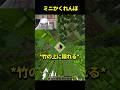 Daquavisミニかくれんぼ