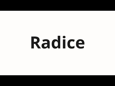 How to pronounce Radice