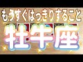牡牛座♉️もうすぐはっきりすること‼︎〜見た時がタイミング〜Timeless reading〜タロット&オラクルカードリーディング