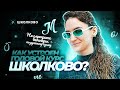 Как устроен годовой курс «Школково»? Не смотрите вебинары по русскому языку.