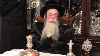 Skulen Willamsburg Rebbe Visits Skolya Rabbi - Teves 5783