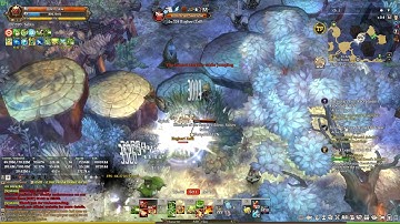 Tree of Savior Walkthrough 172 Nobreer Forest Side Quests