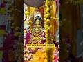 काशी में बाबा विश्वनाथ की होगी हल्दी काशी (वाराणसी) में महाशिवरात्रि से पूर्व बाबा #spottedonshorts