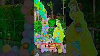 Princess theme Decoration Surprised Party Decoration
