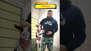 Dançando com o bode de São João 😀 #dança #bodes #saojoao #dance #barbudo #bear #comedia #humor