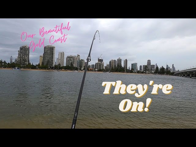 Fishing the Coomera River on the Gold Coast: A Complete Guide