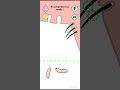 Help Me Tricky Puzzle - there is a problem with his armpit #shortsfeed #youtube #games #gaming #fyp