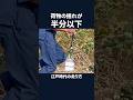 荷物の揺れが半分以下　江戸時代の走り方　#shorts #江戸時代の走り方 #ナンバ走り #荷物 #揺れ