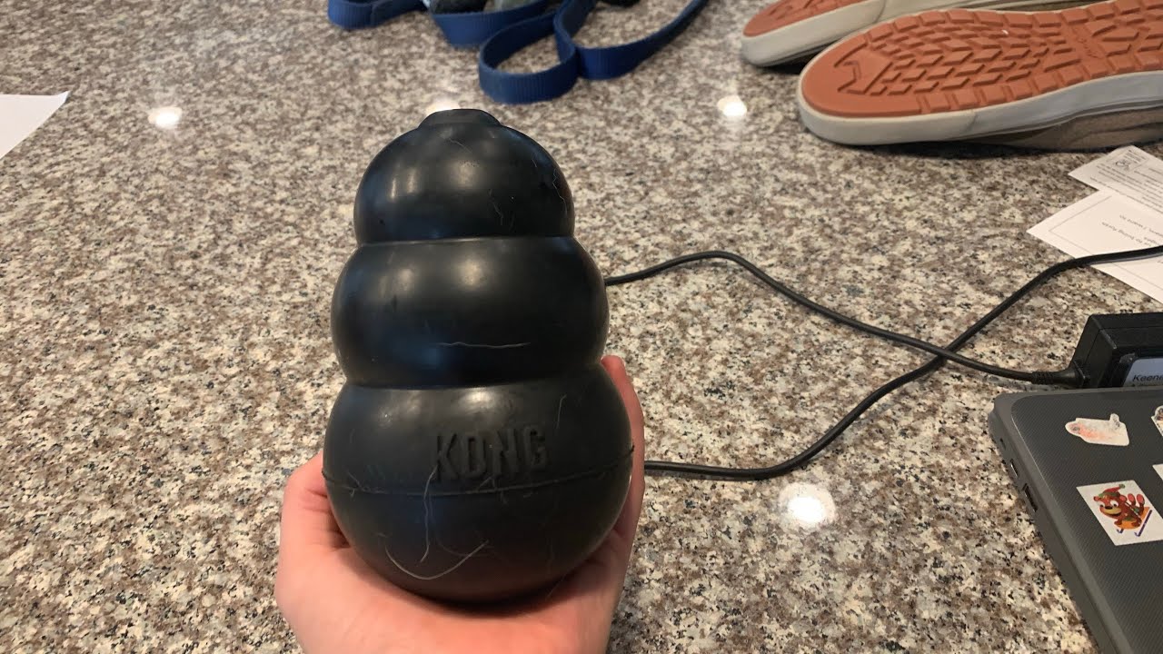 Kong Extreme Dog Toy Review YouTube