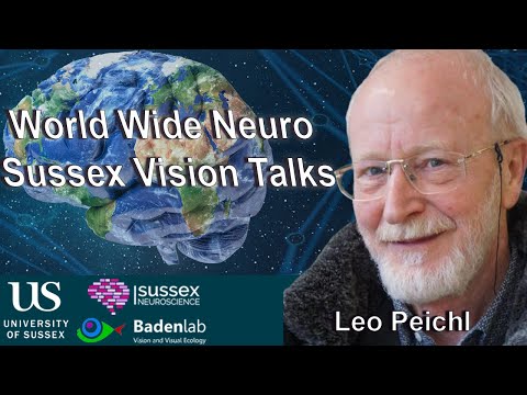 Retinal Photoreceptor Diversity Across Mammals recording thumbnail