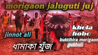 ASSAM MORIGAON GALUGUTI MOH JUJ||assam morigaon buffalo Fight#buffalo🔥🔥