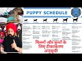 Puppy Vaccines - Everything You Must Know About Vaccinating  Schedule Your Dog. Bhola Shola.