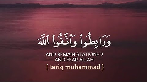 ما تيسر من سورة آل عمران بصوت القاريء طارق محمد 🌷 حالات واتس دينية روعة 🌷 ايات خاشعة قصيرة