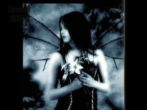 2009 فضل شاكر غايب عني