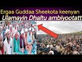 Ergaa Guddaa Sheekota Keenya Ulamayin Dhaltu Ambiyootatti Ergaa Guddaa Sheekota Keenya Ulamayin Dhaltu Ambiyootatti