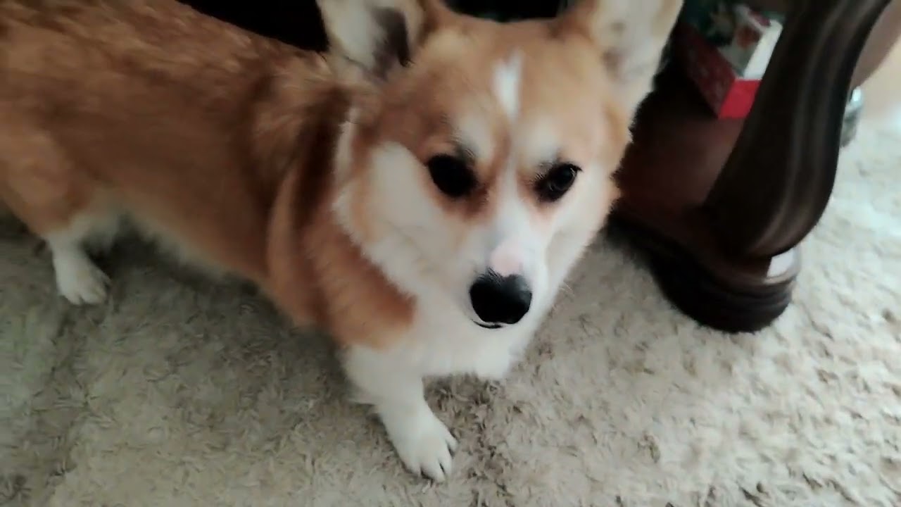 7 марта 2026 г.