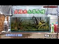世界最強の光で水草水槽立ち上げ。ついに完成?
