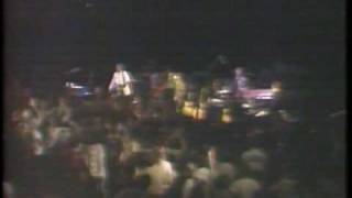 Video thumbnail of "Graham Parker Nobody Hurts you live 1979"