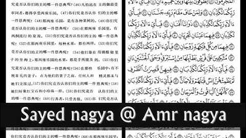 معانى القران مترجمه الى اللغه الصينية سورة الرحمن.wmv