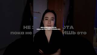 Стоит! Артикул на пасту WB #234577722 Ozon #1664064287