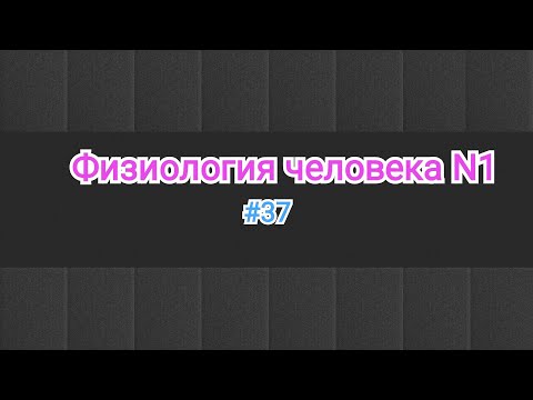 Физиология. Регуляция сердце 3 часть. Гуморальная регуляция ❤️. #37