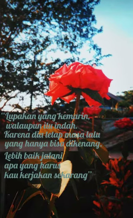 Korban Janji GuyonWaton, Cover Story Wahtsapp,, Status Whatsapp.