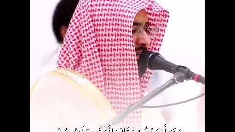 اجمل حالات واتس اب قران كريم #الشيخ_ناصر_علي_القطامي تلاوة رائعة من سورة يوسف