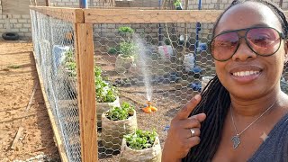 Microfarm Progress Installing A Chicken Wire Fence Living In Senegal