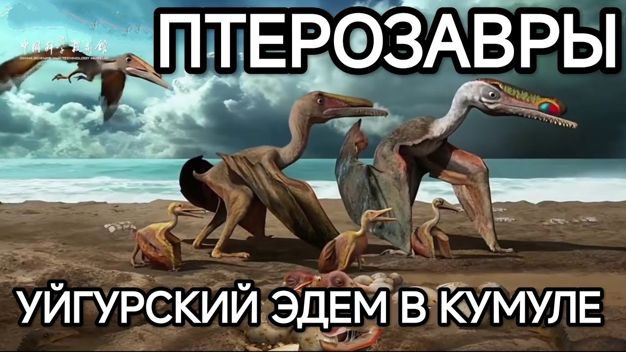 УЙГУРСКИЙ РАЙ ДЛЯ ПТЕРОЗАВРОВ В КУМУЛЕ
