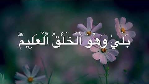 الثمن الأخير من سورة ( يس ) برواية قالون عن نافع المدني