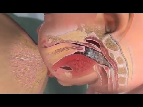 How a Baby's Mouth is Specially Formed to Help Breastfeeding