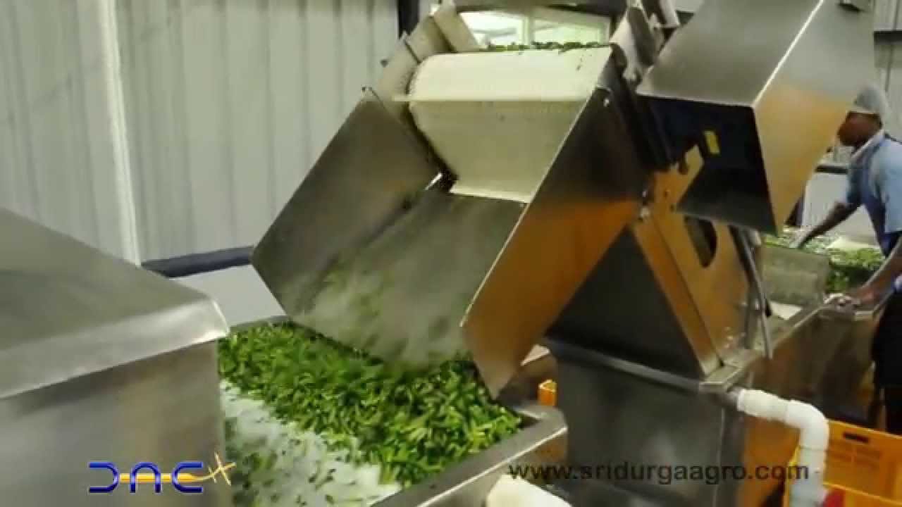 Processing Gherkins - YouTube